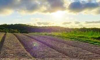 Imagem: Lote/Terreno para venda tem 500 metros quadrados
