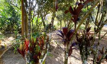 Imagem 5: Chácara à Venda, Victor Hugo , Marechal Floriano, ES