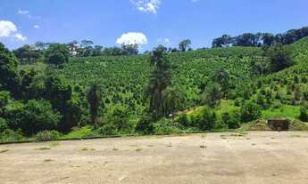Imagem 3: Sítio de 7 Alqueires todo em Café em Ouro Fino - MG