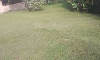 Imagem: Casa com 3 dormitórios à venda com 1500