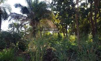 Imagem 2: Terreno à venda no município de Santo Antônio de Leverger-MT