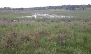 Imagem 3: Compre sua fazendinha na Zona Rural de Araçai próximo a Sete Lagos ! Agende sua visita !!