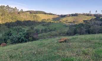 Imagem 3: Fazenda 80 hectares Juiz de Fora