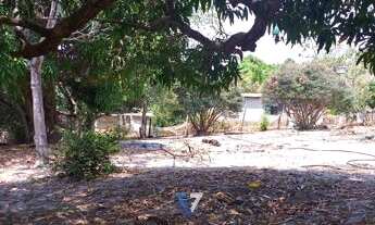 Imagem 2: Rural chacara com 2 quartos - Bairro Independência das Mansões em Aparecida de Goiânia