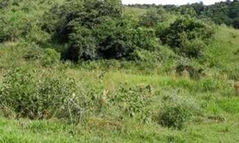 Imagem 5: Lote/Terreno para venda possui 1000 metros quadrados com 1 quarto em Ouro Fino - Santa Isa