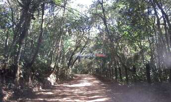 Imagem 7: Terreno à venda, 2750 m² por R$ 135.000 - Vicente Nunes - Nazaré Paulista/SP REF: TE0034