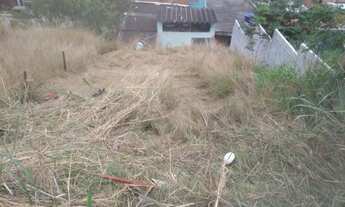 Imagem 4: Terreno próximo a estrada do tingui