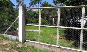 Imagem 2: Chácara boa para descansar é plantas