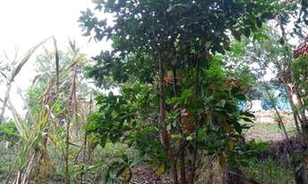 Imagem 7: Terreno Terreno / lote com venda por R$150.000