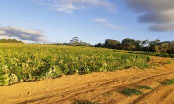 Imagem 3: N01- Terrenos 1000mrts Terrenos na região de Atibaia Bairro Ponte Alta