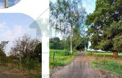 Imagem 4: VENDA Fazenda / sítio com venda por R$1.350.000