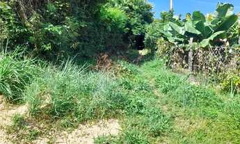 Imagem 5: Casa com 02 quartos, sala, cozinha e banheiro com 212,97m² para locação