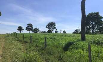 Imagem 2: Fazenda a venda com Dupla Aptidão Região de Juara MT