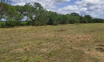 Imagem 4: 9.075 terreno 3 tarefas