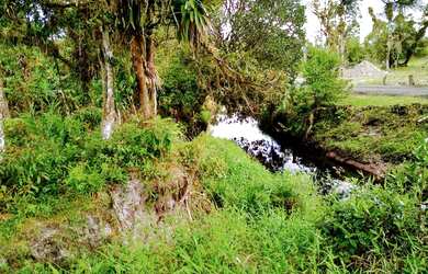 Imagem 3: Casa de fundos para o rio no Bairro Conquista em Balneário Barra do Sul