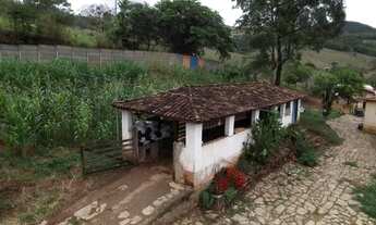 Imagem 4: FAZENDA QUELUZITO - 45 HECTARES - CASA - OTIMA TOPOGRAFIA