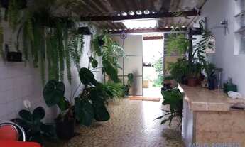 Imagem 5: CASA TÉRREA - VILA BAETA NEVES - SP