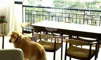 Imagem 4: Campo Belo Nobre!!! 290 m² 4 suítes , 5 vagas