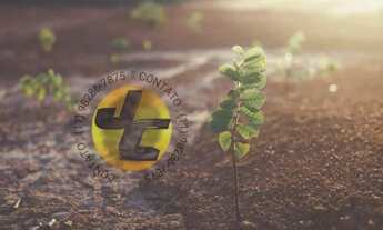 Imagem: Chácaras na planta para investimento em