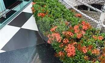 Imagem 7: Sobrado na Água Fria com 3 suítes, 8 vagas de garagens destravadas com 290M2 de garagem co