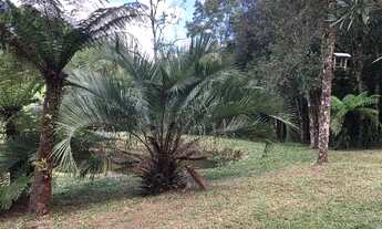 Imagem 4: Oportunidade Chácara, 2700 m² - Balsa Nova/PR