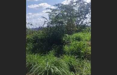 Imagem 4: Terreno bairro porto centro