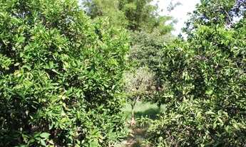 Imagem 5: SAPUCAIA DO SUL - Terreno Padrão - Pasqualini