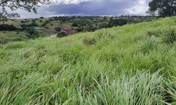 Imagem 2: Excelente fazenda com 21,6 hectares de porteira fechada com 35 animais