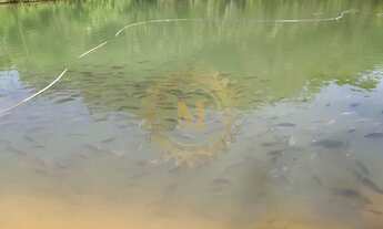 Imagem 3: Sítio à venda em Domingos Martins/ES