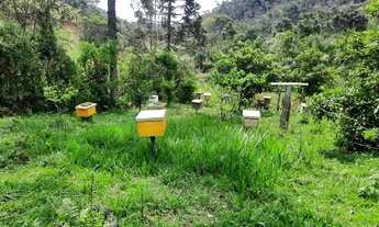 Imagem 7: Sítio em Rancho Queimado, nascentes, belo visual, pastagem, roça, cachoeira 51 Hectares
