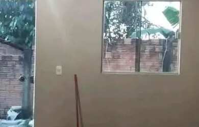 Imagem 2: Aluguel apartamento