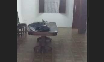 Imagem 4: Casa alugo 3 quartos sendo 1 suite , no Marco - Belém - PA