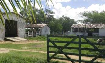 Imagem 7: Fazenda para pessoa de bom gosto 480 hectares encantadora