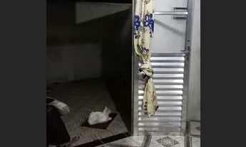 Imagem 2: Casa para alugar