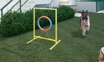 Imagem 4: APARTAMENTO - MORUMBI - SP