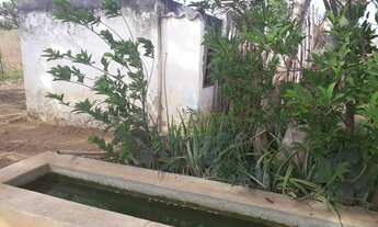 Imagem 5: Linda Fazenda com 380 hectares na chapada de Apodi-RN