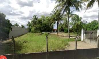 Imagem 3: Alugo-Para Comércio em Área Mais Valorizada da Avenida Artêmia Pires-Sim