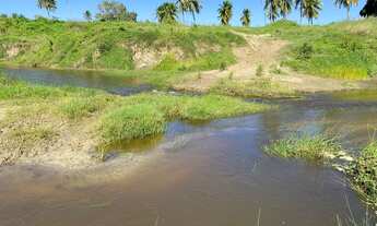 Imagem 4: Excelente fazenda com 21,6 hectares de porteira fechada com 35 animais