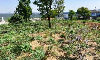 Imagem 7: Terreno 25.000m2 em Guaxinduva, Atibaia - SP