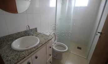 Imagem 11: Apartamento Padrão em São José do Rio Preto