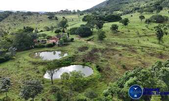 Imagem 2: Fazenda à Venda em Anápolis - GO 37 Alqueires Rica em Água