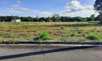 Imagem 6: Lotes 100% legalizados com parcelas a partir de R$332,91 no Residêncial Amazonas 2