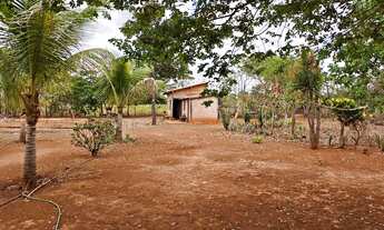 Imagem 4: Chácara 5.000M2 na Região de Glaucilândia