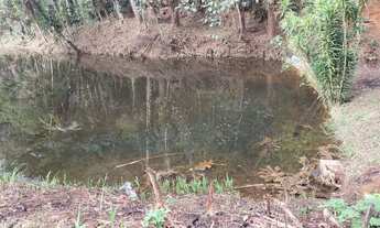 Imagem 3: 2 hectares com cachoeira apenas 197 mil reais lindo