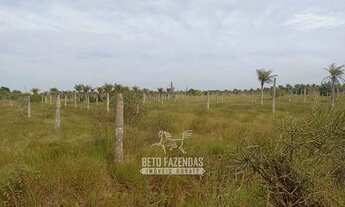 Imagem 6: Imóvel para venda tem 3000800 metros quadrados em Centro - Quissamã - RJ