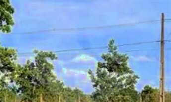 Imagem 3: Terreno à venda em Residencial Monte Cristo - RR