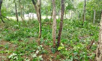 Imagem: Lote itacaiu Araguaia