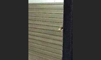 Imagem 4: Sala para alugar, 18 m² por R$ 1.000,00/mês - Centro - Londrina/PR