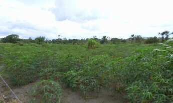 Imagem 4: Fazenda de 226 Hectares em Formoso MG Escriturada