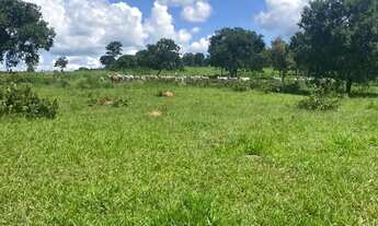 Imagem 7: Fazenda a venda em Pontalina Goiás!!!